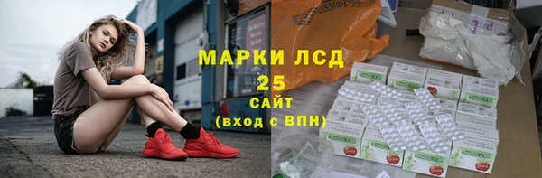 индика Заволжье
