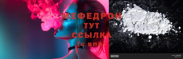 индика Заволжье