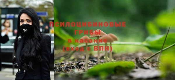 ALPHA PVP Заволжск