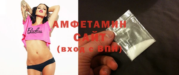 индика Заволжье