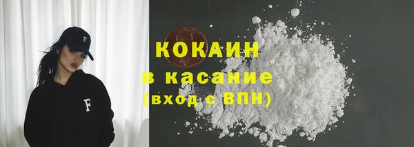 индика Заволжье