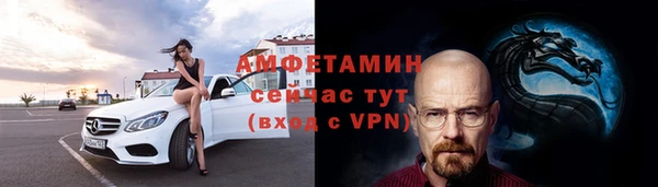 индика Заволжье