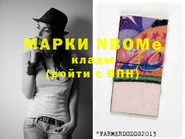 индика Заволжье