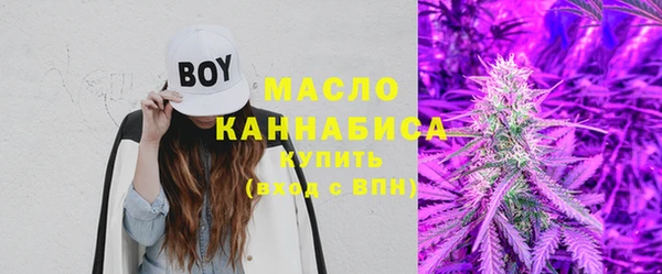 индика Заволжье