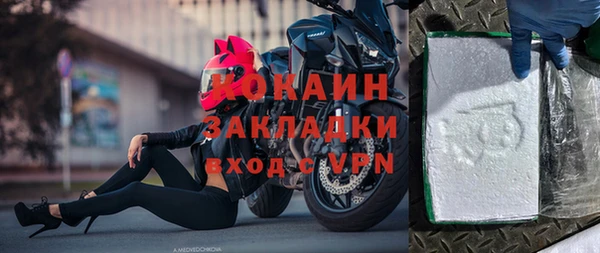 индика Заволжье