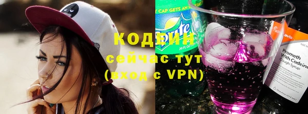 индика Заволжье
