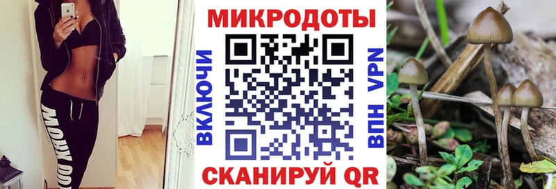 Псилоцибиновые грибы Psilocybine cubensis даркнет сайт blacksprut зеркало Струнино